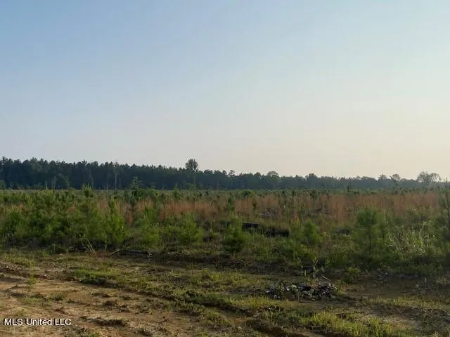 Mink Branch Road Pelahatchie, MS 39145