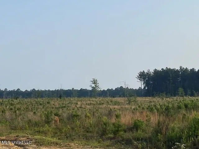 Mink Branch Road Pelahatchie, MS 39145