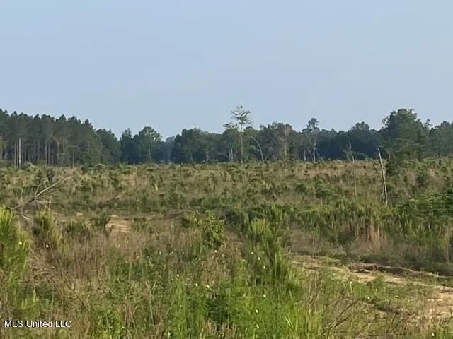 Mink Branch Road Pelahatchie, MS 39145