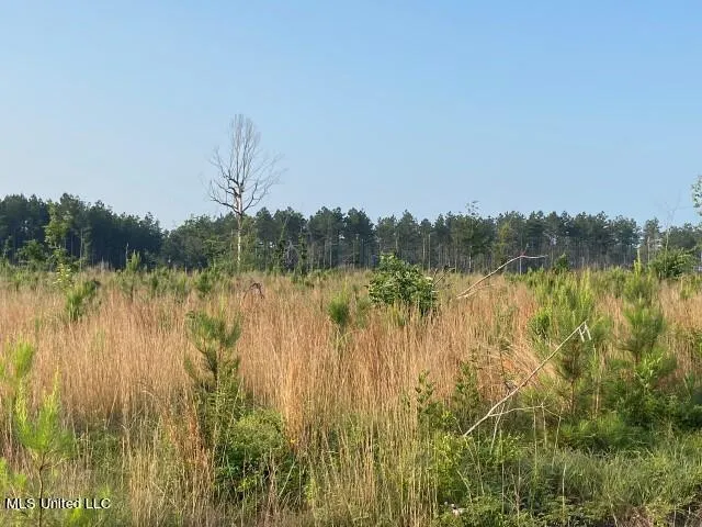 Mink Branch Road Pelahatchie, MS 39145
