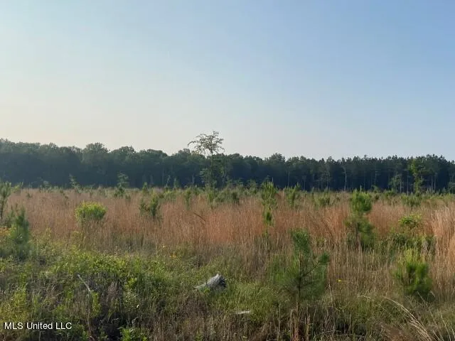 Mink Branch Road Pelahatchie, MS 39145