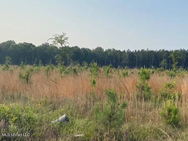 Mink Branch Road Pelahatchie, MS 39145