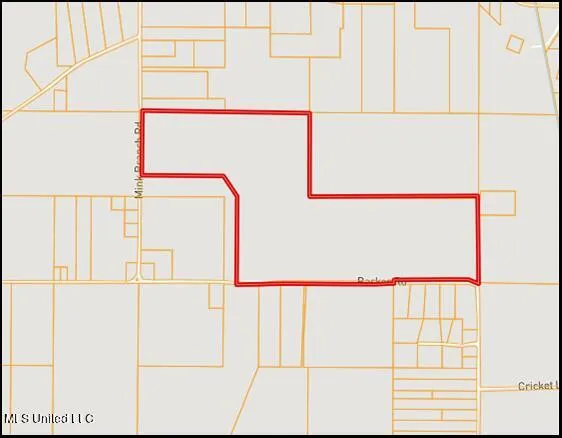 Mink Branch Road Pelahatchie, MS 39145