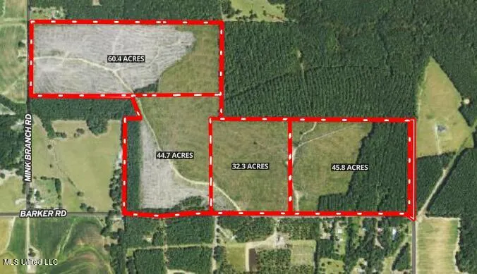 Mink Branch Road Pelahatchie, MS 39145