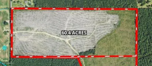 Mink Branch Road Pelahatchie, MS 39145