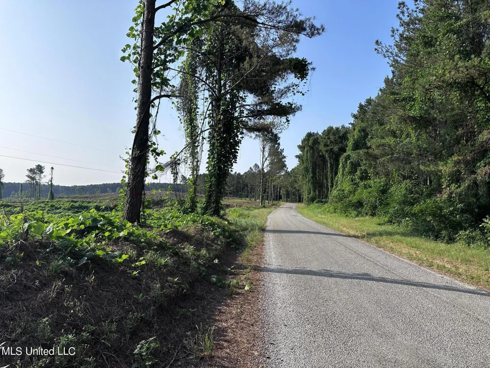 Co Rd 309 Oxford, MS 38655
