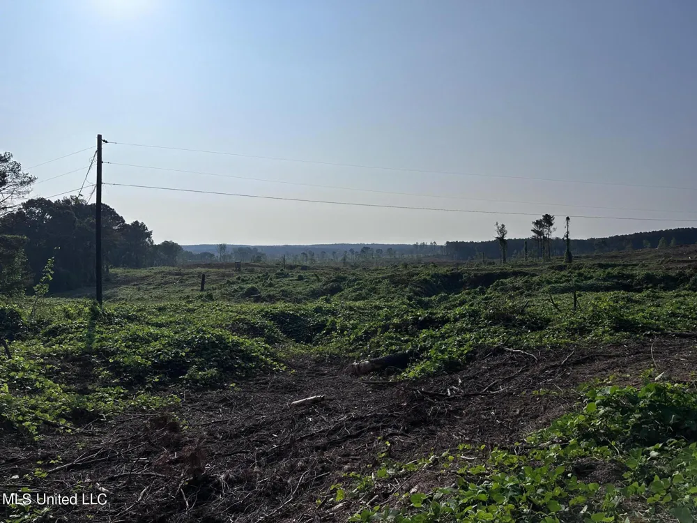 Co Rd 309 Oxford, MS 38655