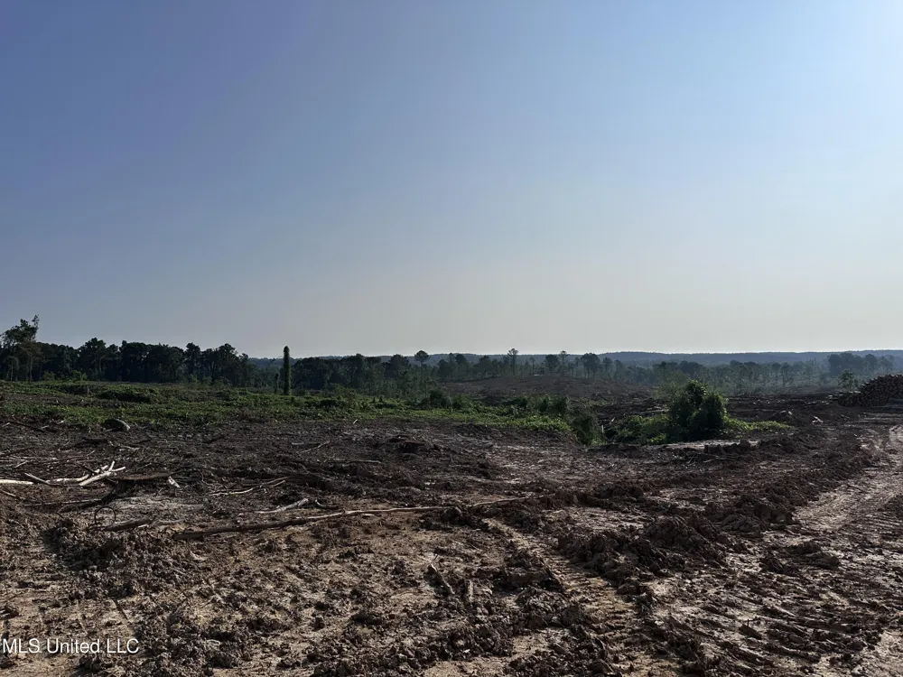 Co Rd 309 Oxford, MS 38655