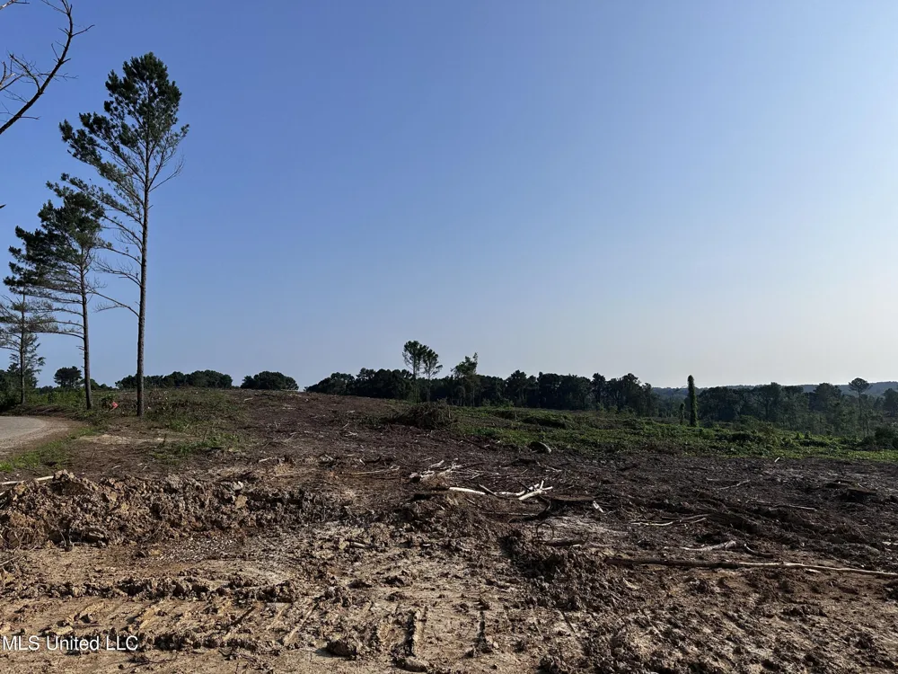 Co Rd 309 Oxford, MS 38655