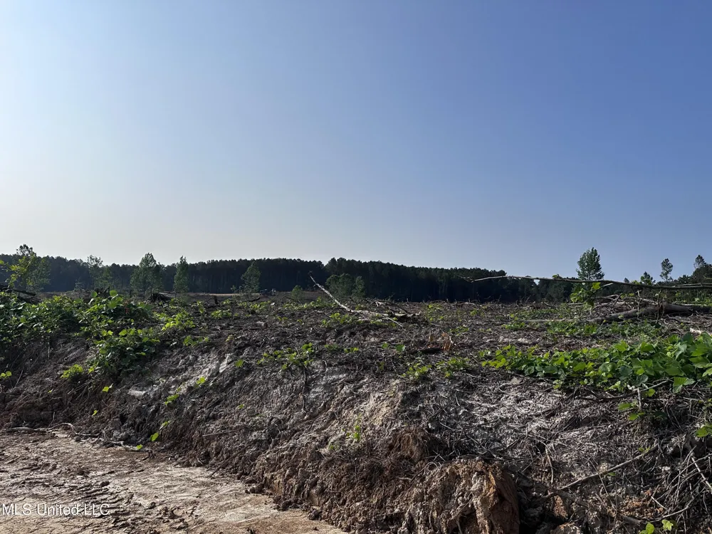 Co Rd 309 Oxford, MS 38655