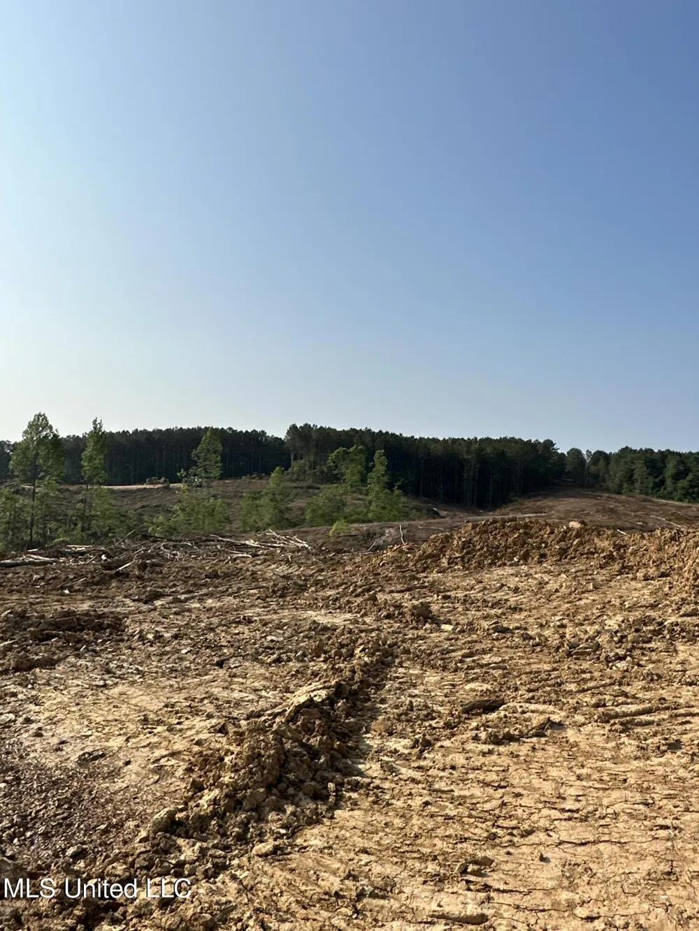 Co Rd 309 Oxford, MS 38655