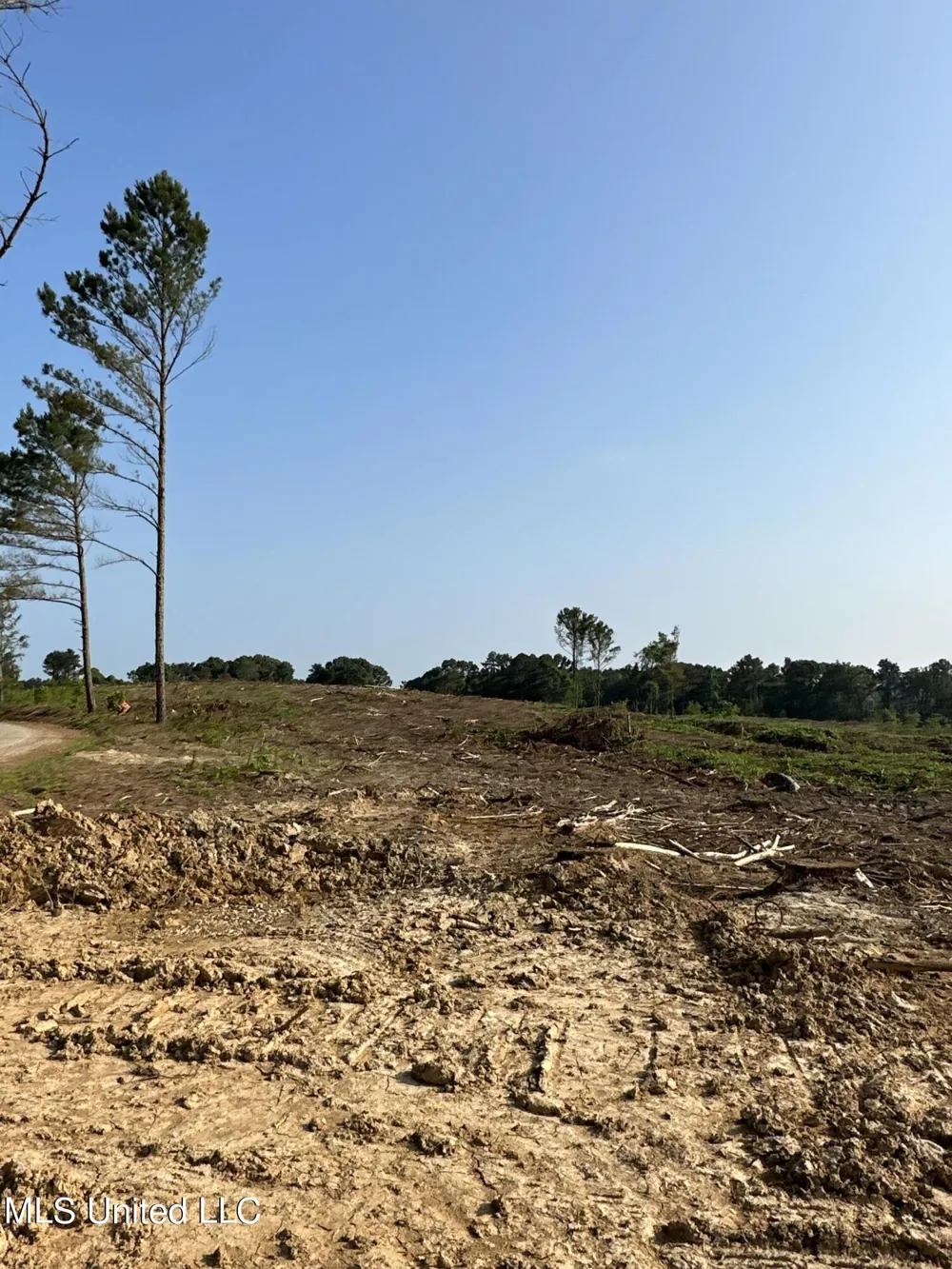 Co Rd 309 Oxford, MS 38655
