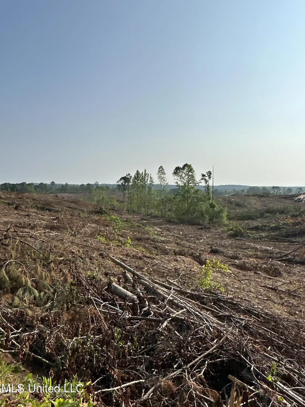 Co Rd 309 Oxford, MS 38655