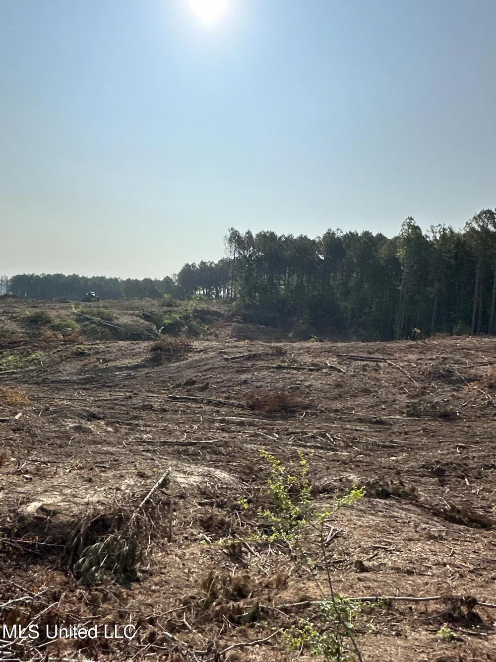 Co Rd 309 Oxford, MS 38655
