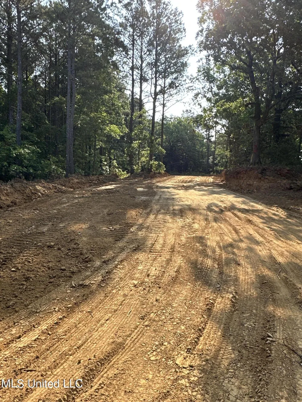 Co Rd 309 Oxford, MS 38655