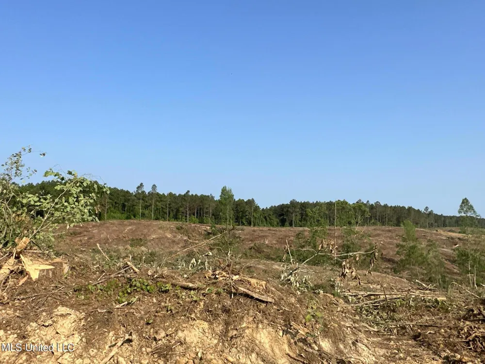 Co Rd 309 Oxford, MS 38655