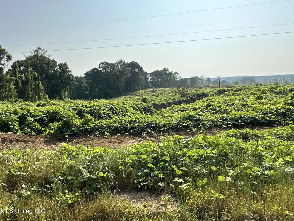 Co Rd 309 Oxford, MS 38655