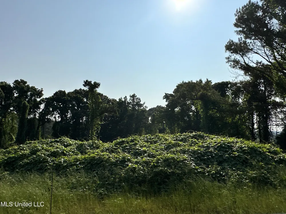 Co Rd 309 Oxford, MS 38655