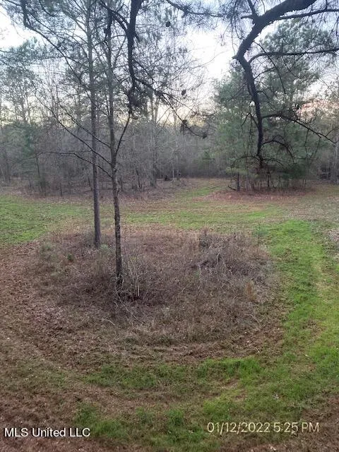 0000 W Adams Station Road Edwards, MS 39066