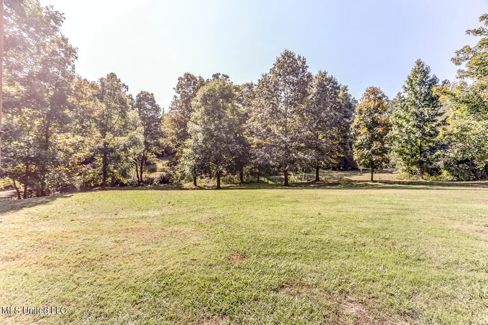 1351 Dorse Road Michigan City, MS 38647