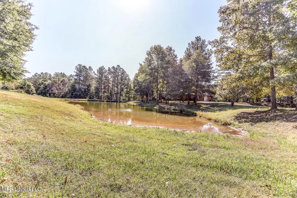 1351 Dorse Road Michigan City, MS 38647
