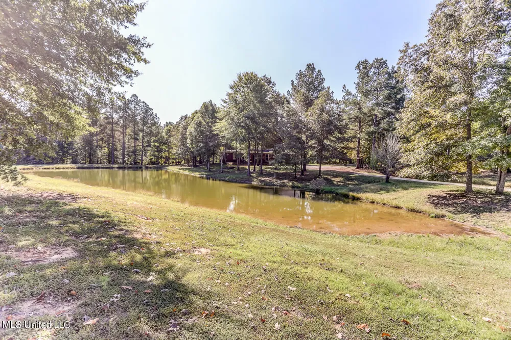 1351 Dorse Road Michigan City, MS 38647