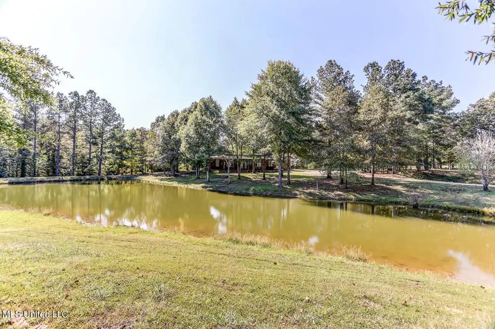 1351 Dorse Road Michigan City, MS 38647
