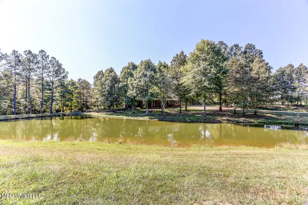 1351 Dorse Road Michigan City, MS 38647