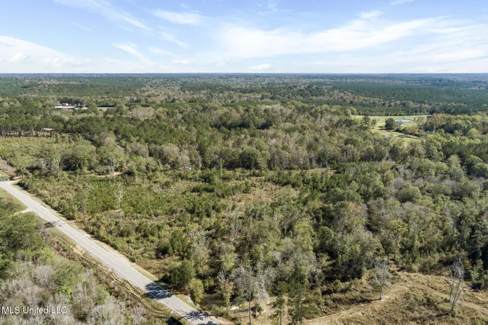 111 Ms-44 Sumrall, MS 39482