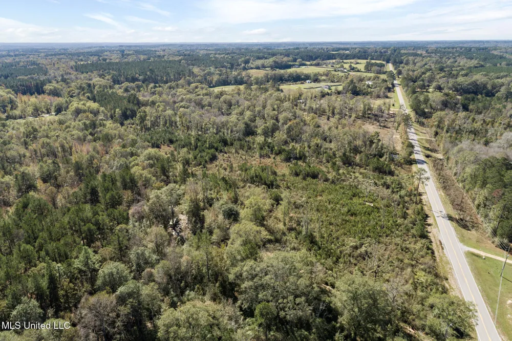 111 Ms-44 Sumrall, MS 39482