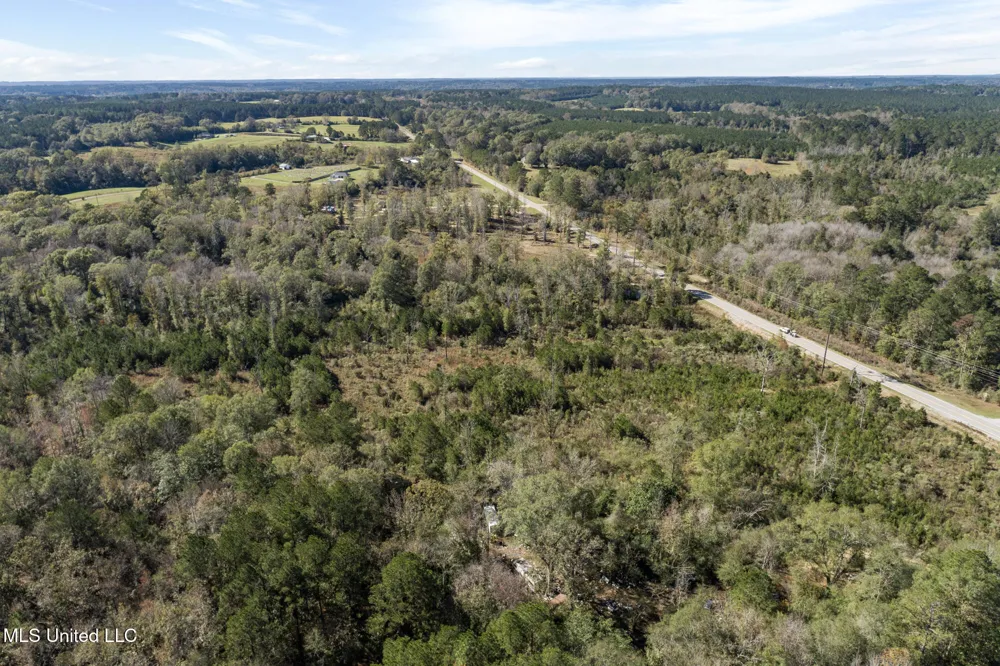 111 Ms-44 Sumrall, MS 39482