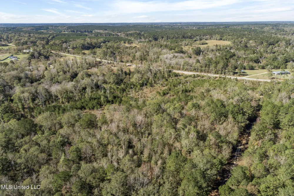 111 Ms-44 Sumrall, MS 39482