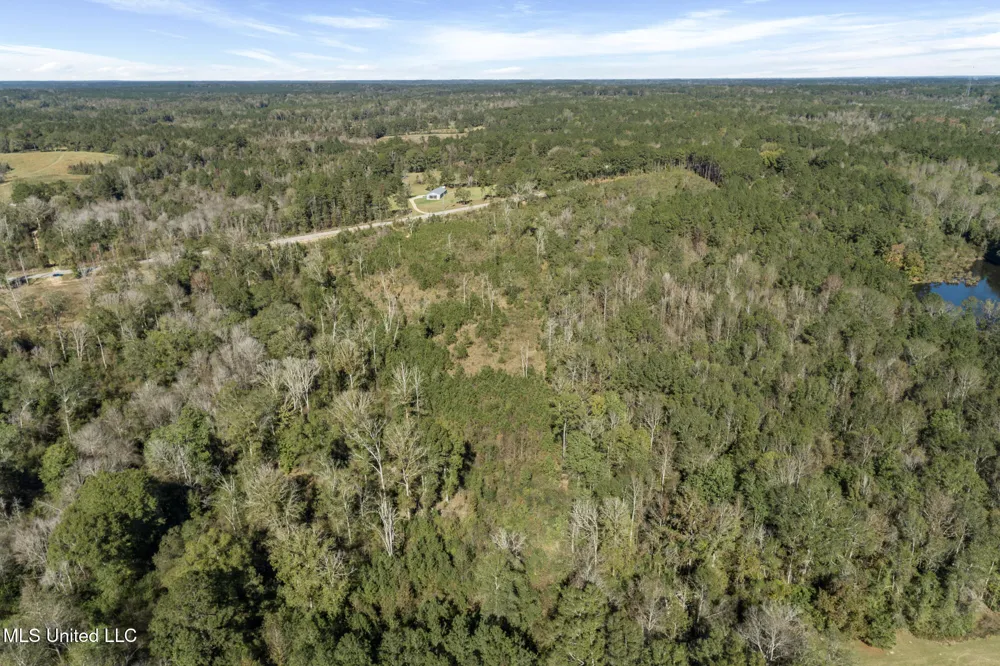 111 Ms-44 Sumrall, MS 39482