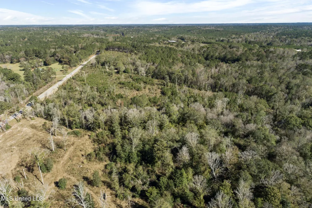111 Ms-44 Sumrall, MS 39482