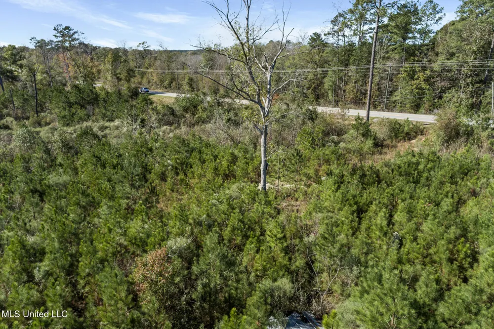 111 Ms-44 Sumrall, MS 39482