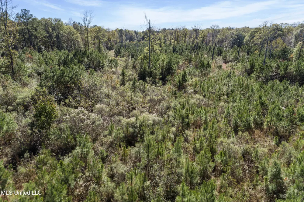 111 Ms-44 Sumrall, MS 39482