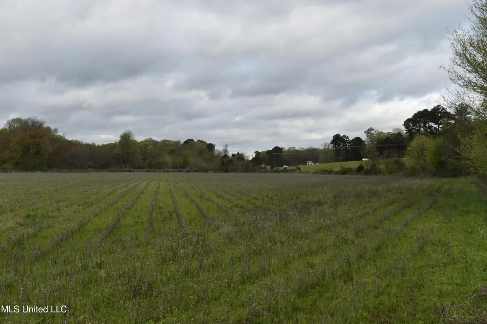 0 Hwy 278 Batesville, MS 38606