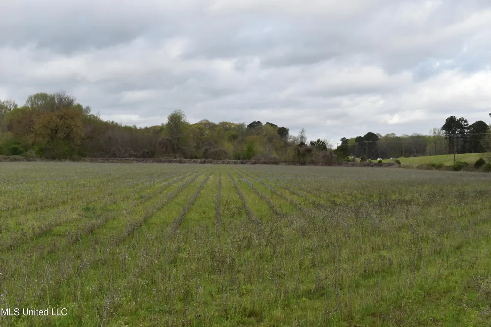 0 Hwy 278 Batesville, MS 38606