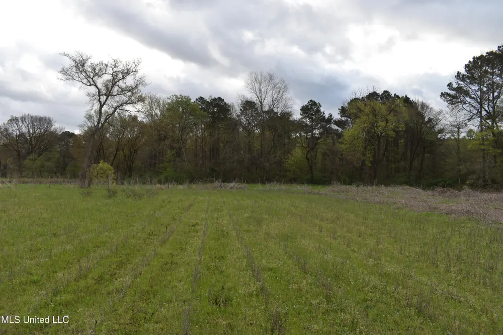 0 Hwy 278 Batesville, MS 38606