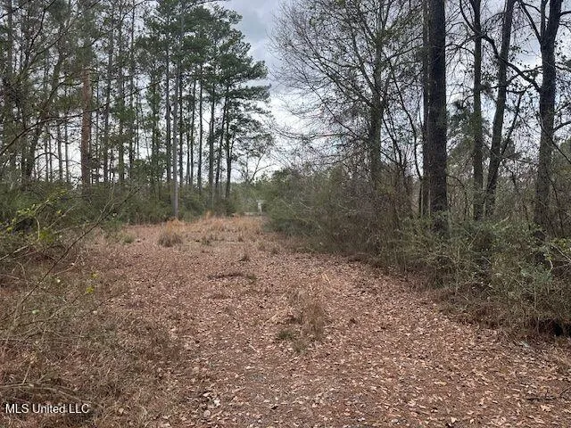 914 Beverly Hills Road Hattiesburg, MS 39401