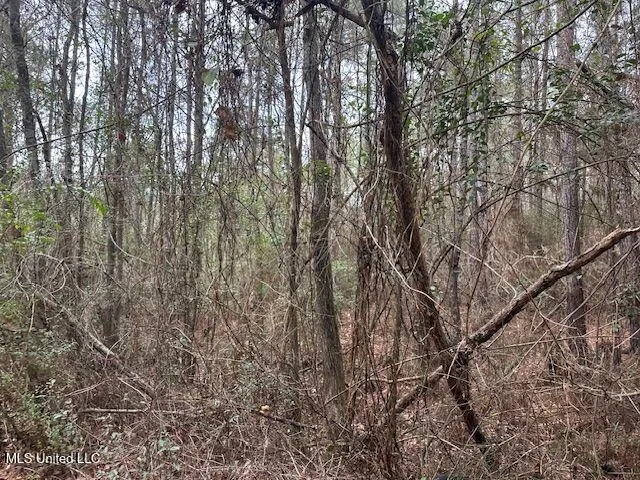 914 Beverly Hills Road Hattiesburg, MS 39401