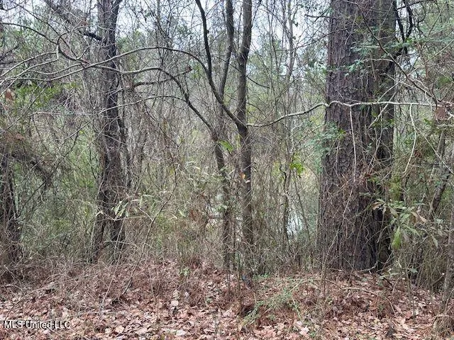 914 Beverly Hills Road Hattiesburg, MS 39401