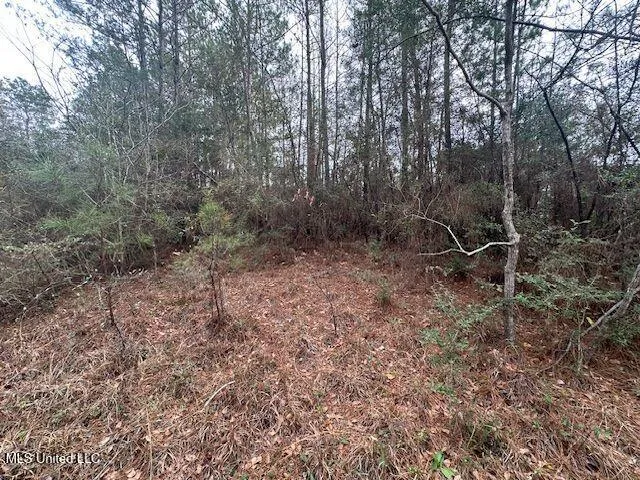 914 Beverly Hills Road Hattiesburg, MS 39401