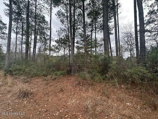 914 Beverly Hills Road Hattiesburg, MS 39401