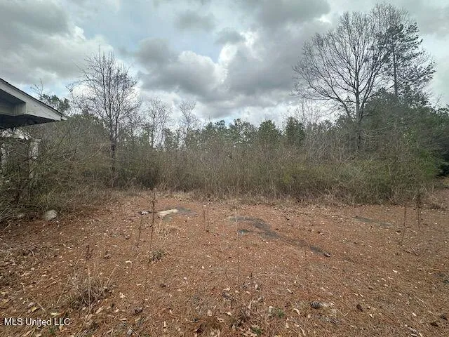 914 Beverly Hills Road Hattiesburg, MS 39401