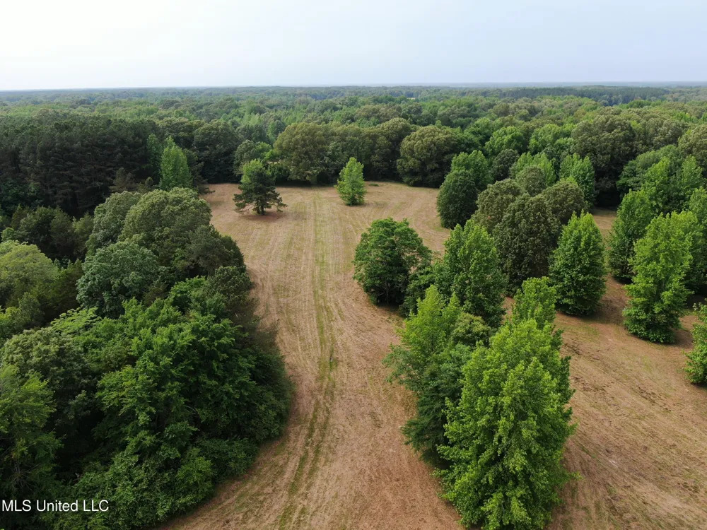 656 Sunset Drive Coldwater, MS 38618