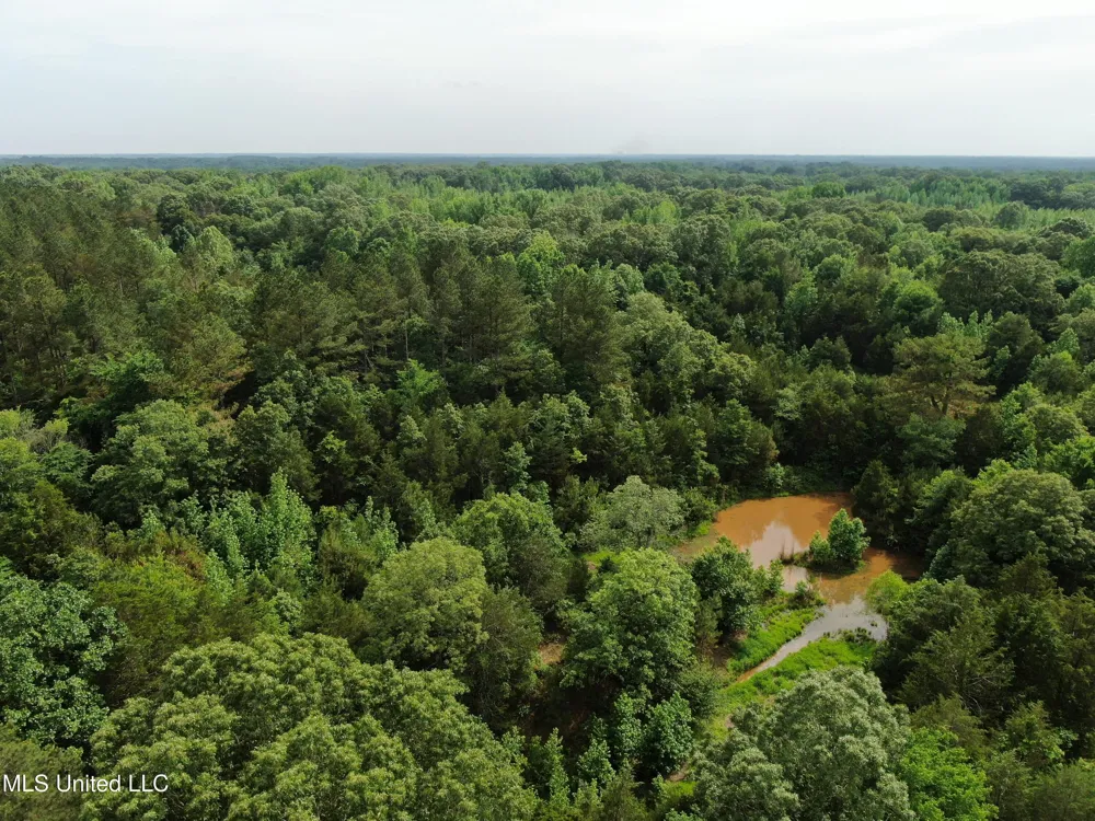 656 Sunset Drive Coldwater, MS 38618