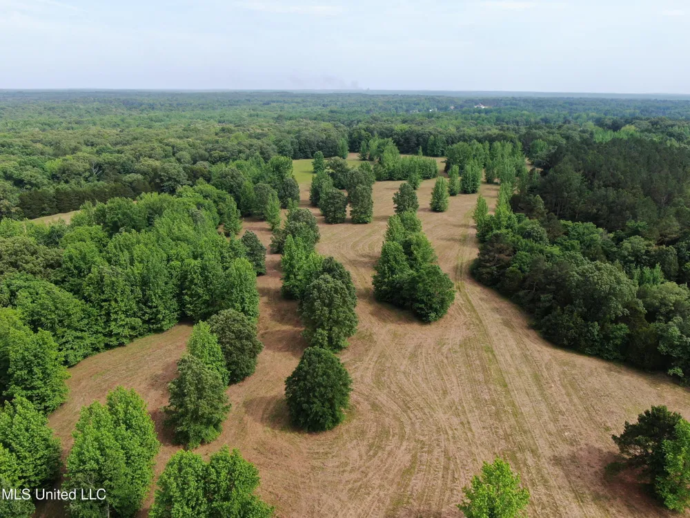 656 Sunset Drive Coldwater, MS 38618