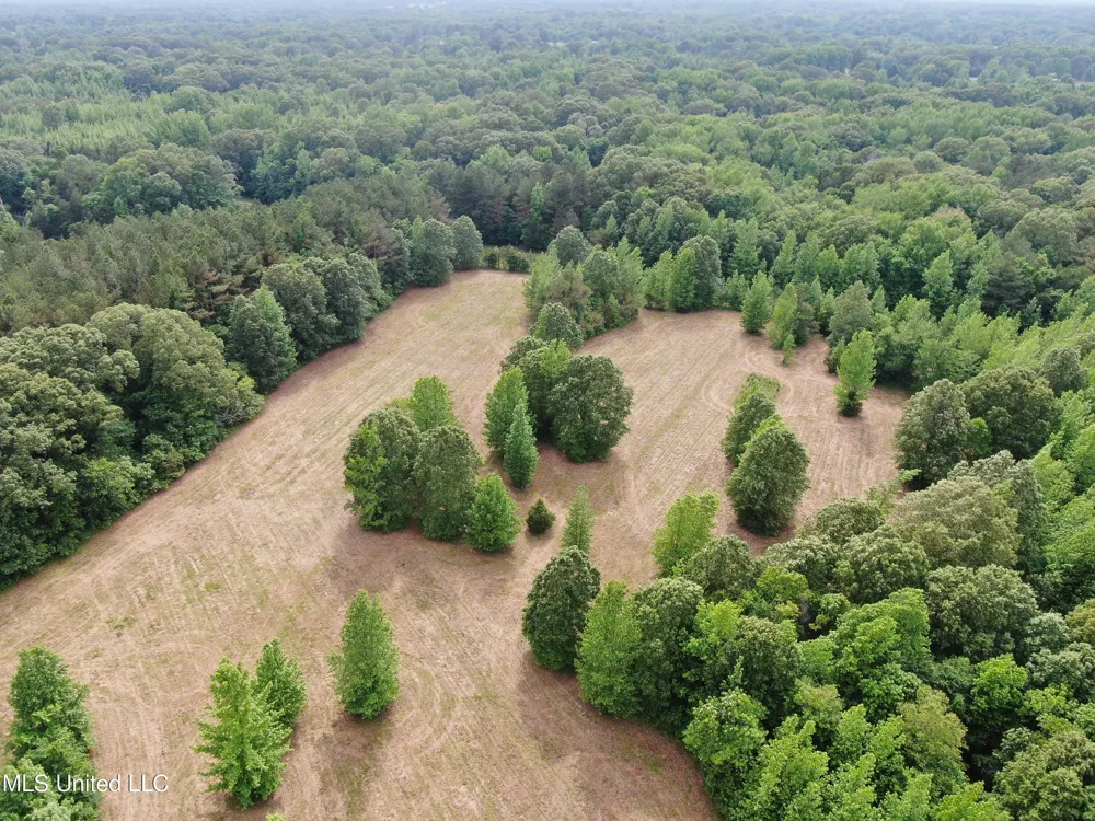 656 Sunset Drive Coldwater, MS 38618