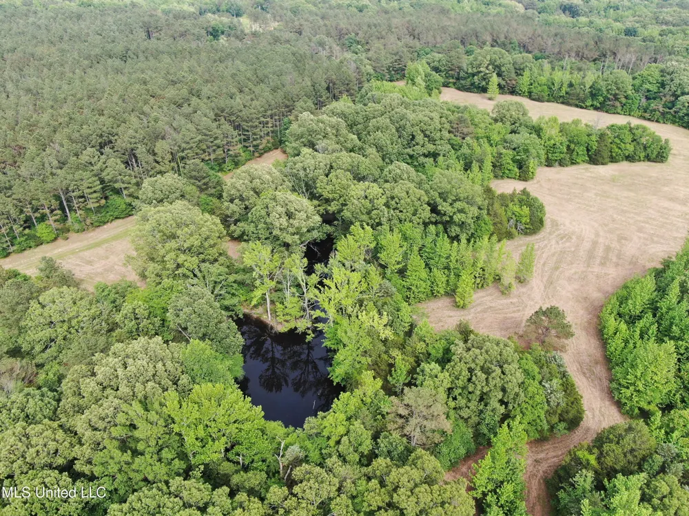 656 Sunset Drive Coldwater, MS 38618